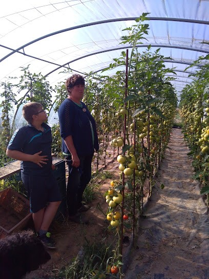E3 Chauffage Et Eau, Chauffagiste - Frigoriste à Hinges