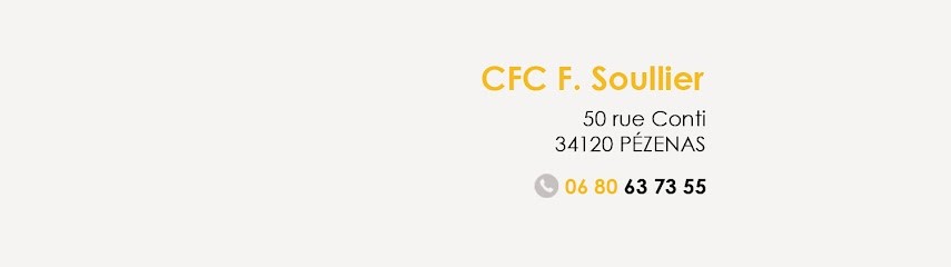 CFC F. SOULLIER, Chauffagiste - Frigoriste à Pézenas