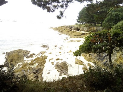 Merrien Xavier, Chauffagiste - Frigoriste à Fouesnant