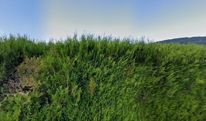 Thiriet Denis, Chauffagiste - Frigoriste au Syndicat