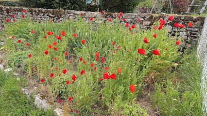 Kodiak Filtration, Chauffagiste - Frigoriste à Saint-Léger-la-Montagne