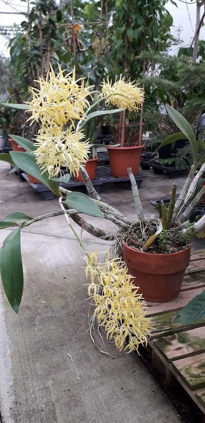 Batiwatts, Chauffagiste - Frigoriste à Teillet-Argenty