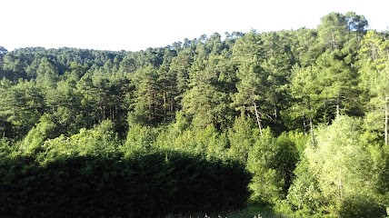 PHILIPPE LIOT CHAUFFAGE, Chauffagiste - Frigoriste à Mercuer