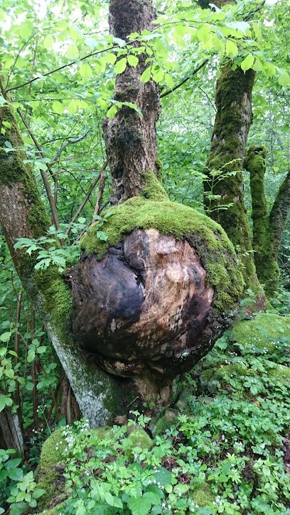 Techni & Nature Susville, Chauffagiste - Frigoriste à Susville