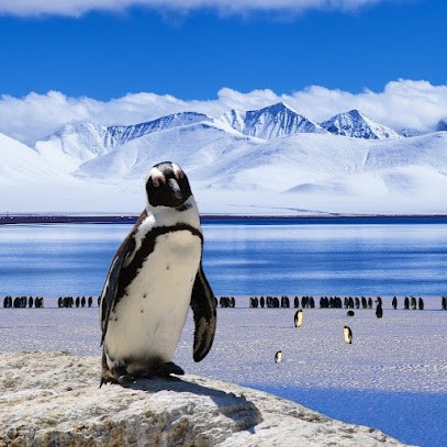 Provence Climatisation / Installateur climatisation, Chauffagiste - Frigoriste à La Fare-les-Oliviers