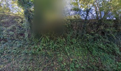 Alquier Cassan, Chauffagiste - Frigoriste à Labruguière