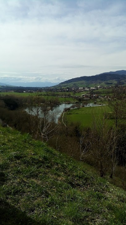 PARCHET OLIVIER SAS, Chauffagiste - Frigoriste à Ville-en-Sallaz