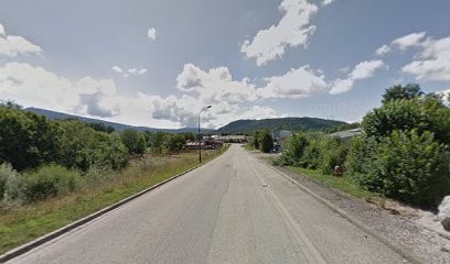 Monnier SARL, Chauffagiste - Frigoriste à Aranc