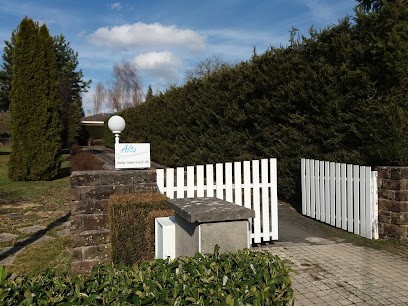 ALTA SARL, Chauffagiste - Frigoriste à Lixheim