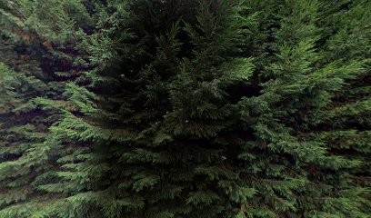 Marmousez Pascal, Chauffagiste - Frigoriste à Voglans