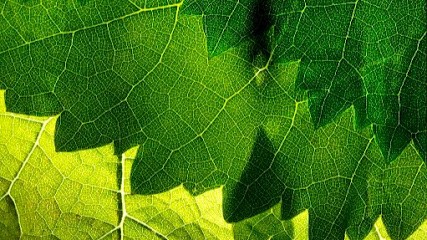 Coriance, Chauffagiste - Frigoriste à Noisy-le-Grand