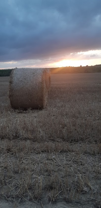 B.S.T, Chauffagiste - Frigoriste à Sévignac