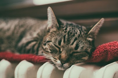 SCHWEY ENERGIE, Chauffagiste - Frigoriste à Limersheim