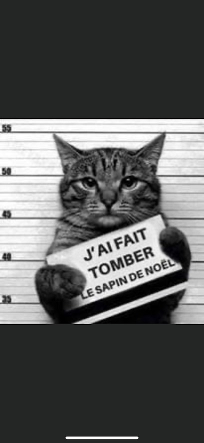 Jean Simoes EURL, Chauffagiste - Frigoriste à Paris 18