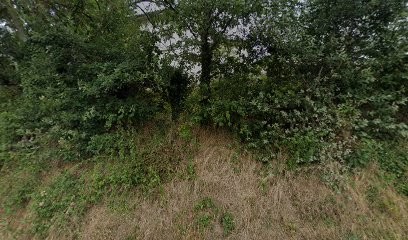 Creafroid, Chauffagiste - Frigoriste à Rontalon