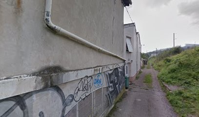 Petit Dominique, Chauffagiste - Frigoriste à Maxéville